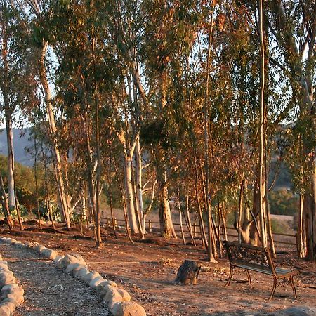 Ojai Retreat & Inn Exterior photo