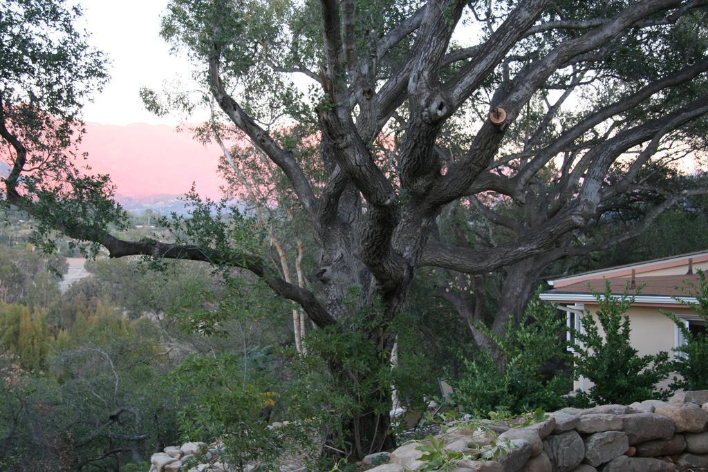 Ojai Retreat & Inn Exterior photo